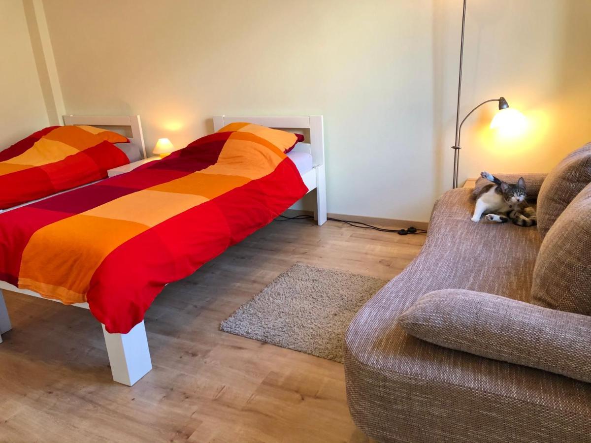 Die Senfbude - Wunderschoene Apartments Fuer 4 Personen Mit Terrasse & Stellplatz Leipzig Buitenkant foto